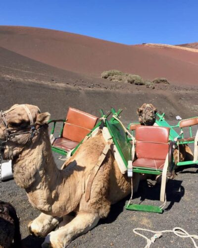 Tried and Tested Shore Excursions in Lanzarote