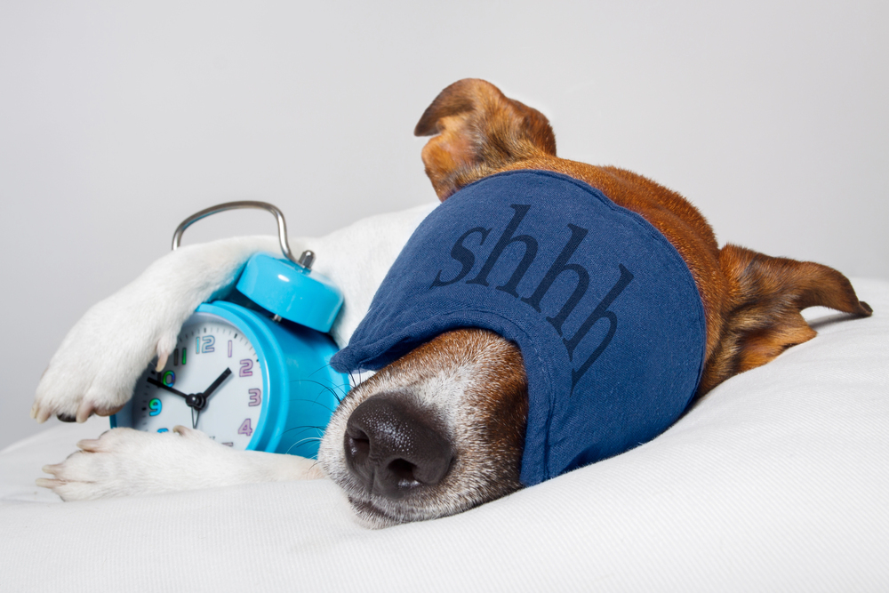 How To Avoid Jetlag When Travelling