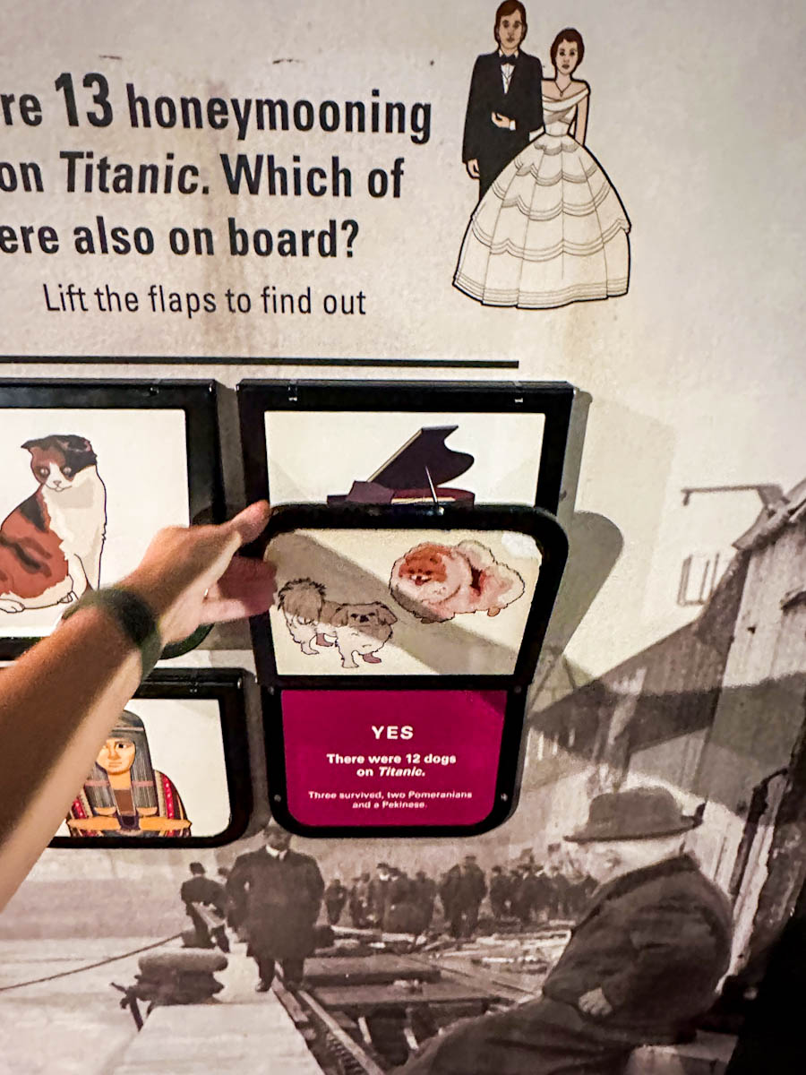 How many dogs on the Titanic?