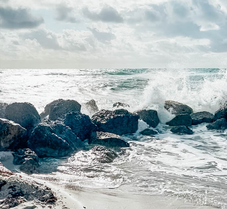 What to do near Miami Cruise Port