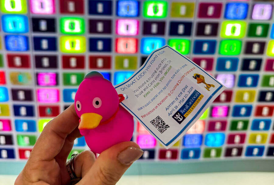 Duck found on Anthem of the Seas