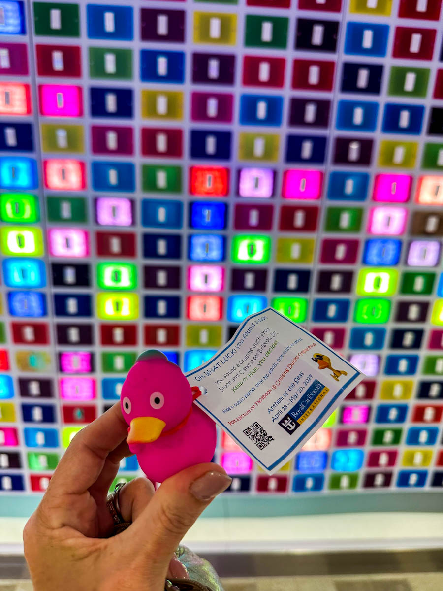 Duck found on Anthem of the Seas