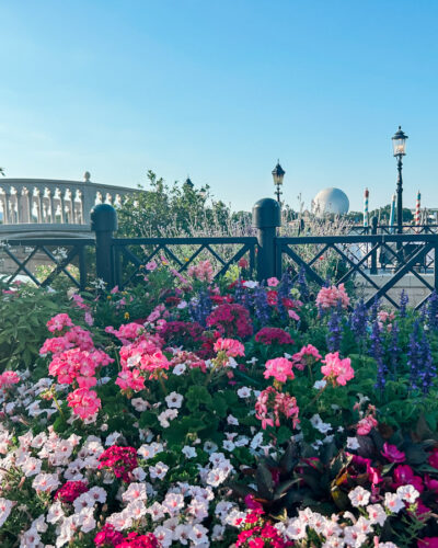 Disney Characters In Bloom, A Look At Some Highlights of the Epcot Flower Festival