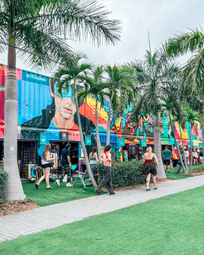 An Art Tour of The Wynwood Downtown Area, The Other Side Of Miami