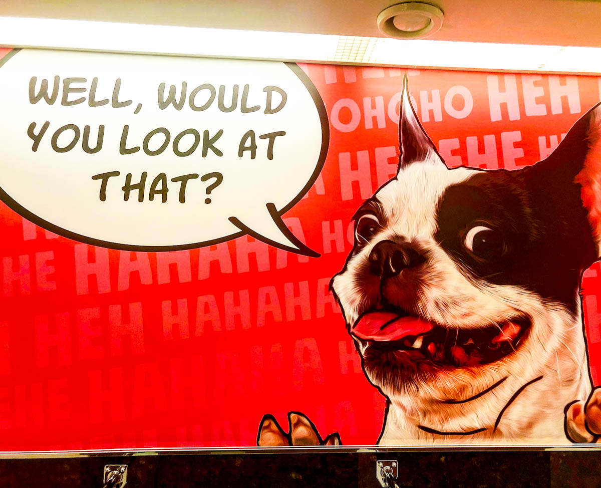 Boston Terrier dog on men’s restroom wall on Symphony of the Seas