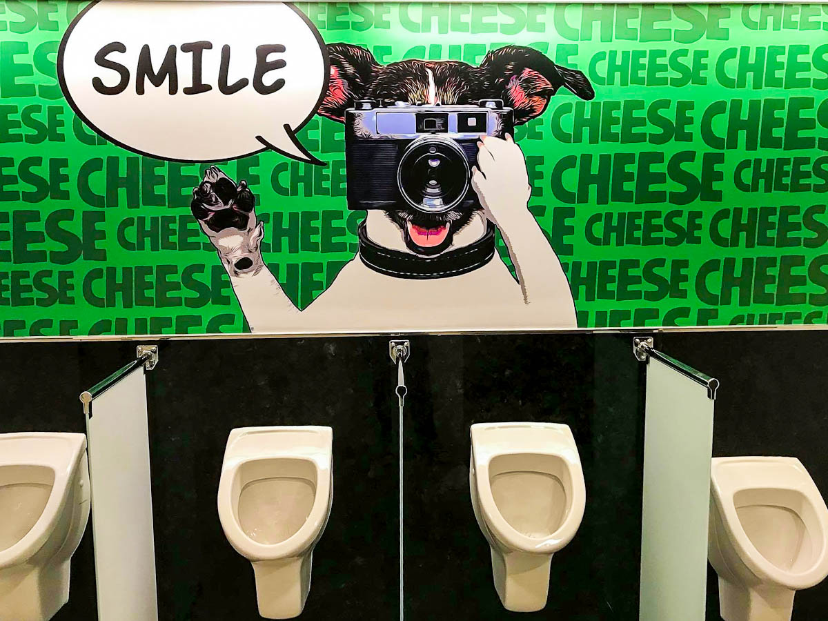 Symphony of the Seas Restroom ART dog with camera saying “smile”
