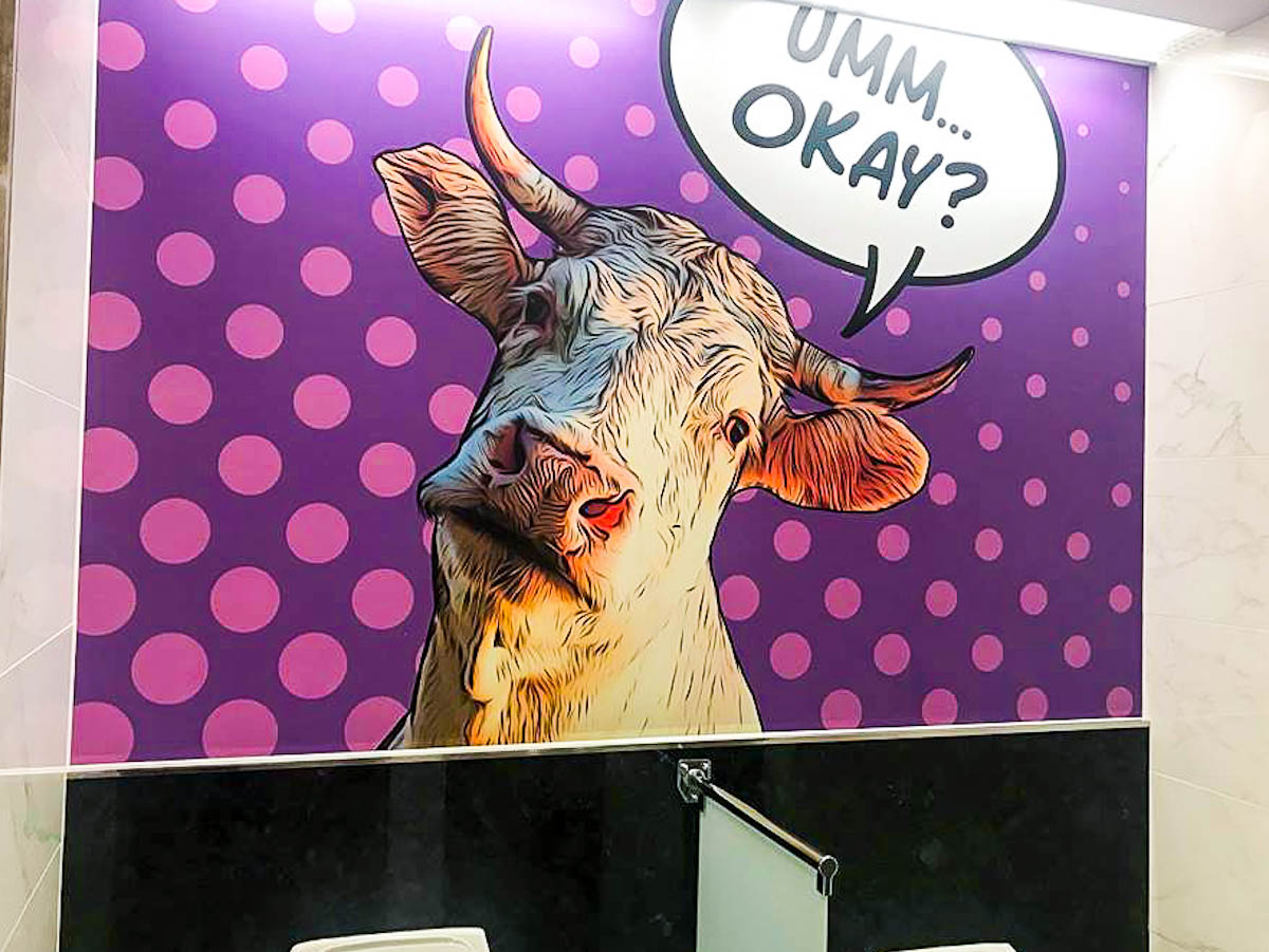 Cow saying “umm Okay?”