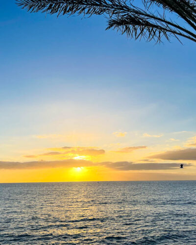 Why the Canary Islands is the Perfect Place for Winter Sun Seekers