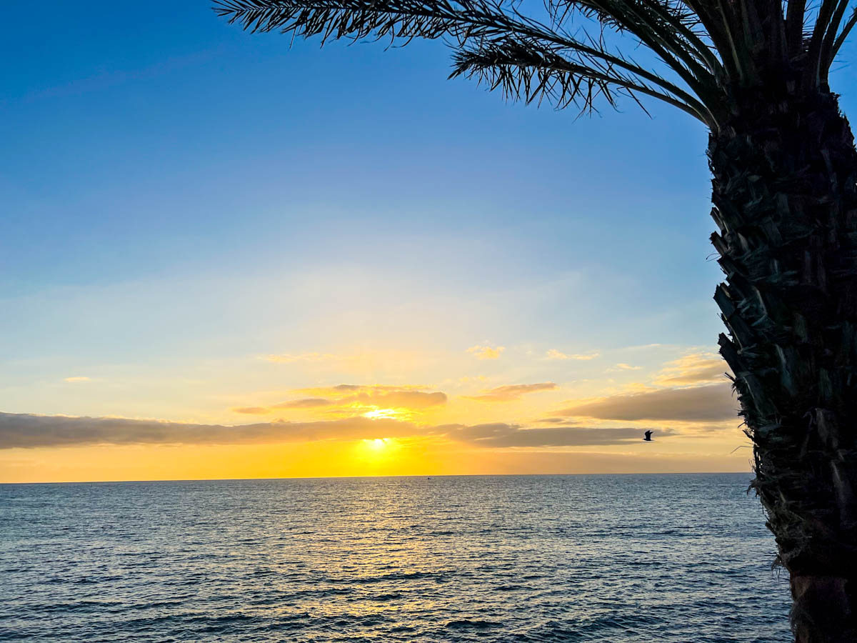 Playa De Las Americas Sunset Beach