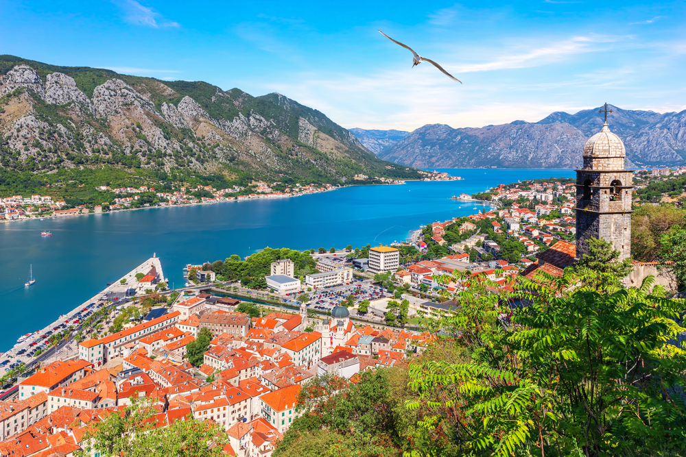 Kotor